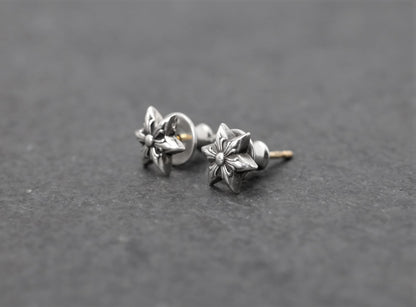 Star Stud Earring